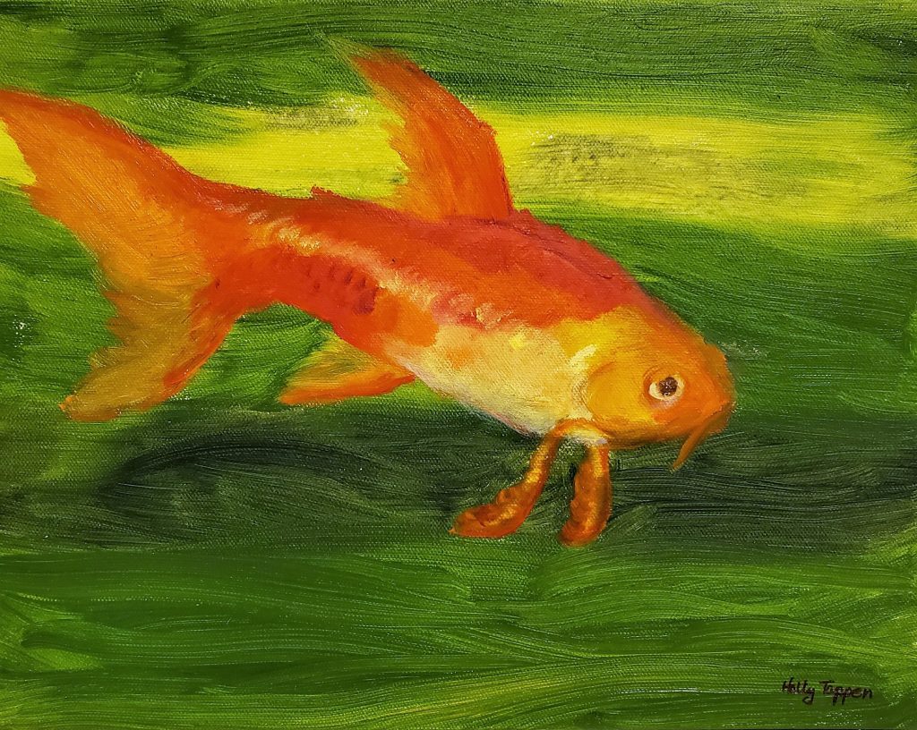 single koi | Dow Art Gallery and Picture Framing