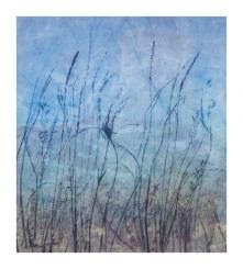 Tanglewood Prairie | Dow Art Gallery and Picture Framing