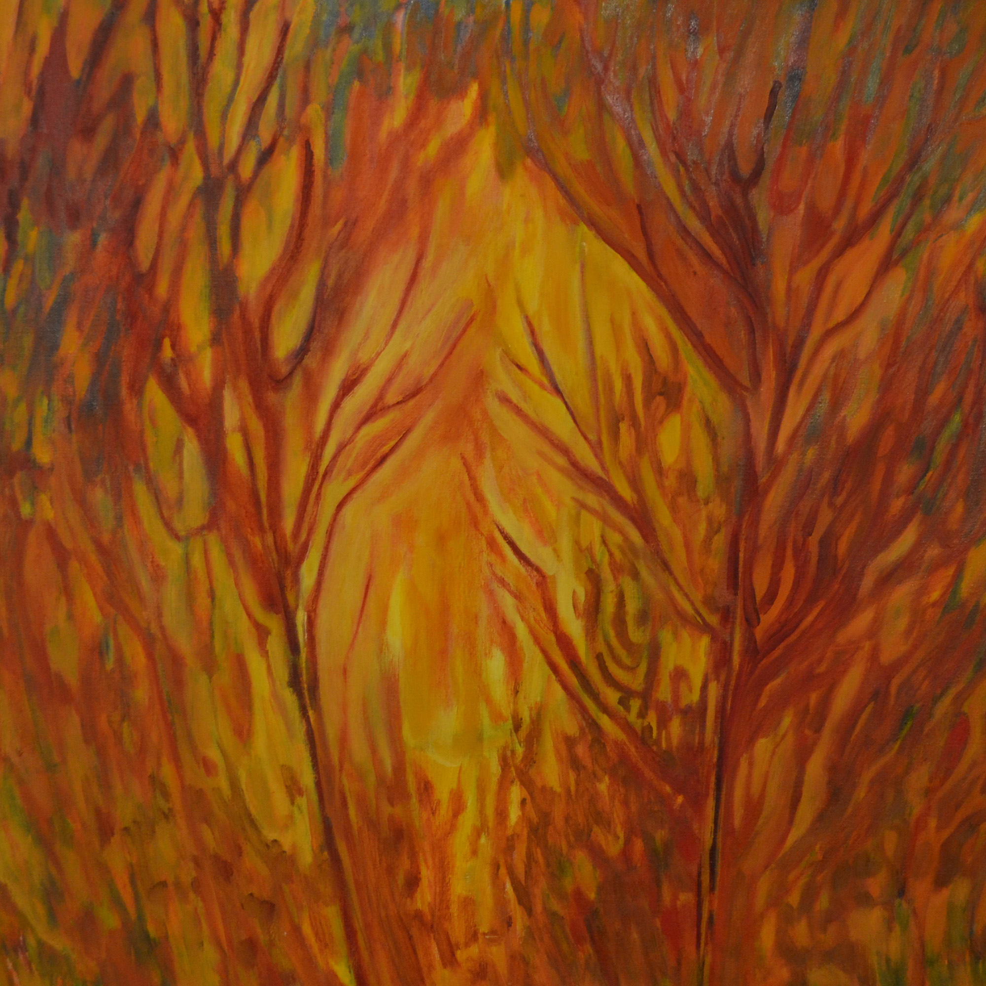 light in the forest | Dow Art Gallery and Picture Framing